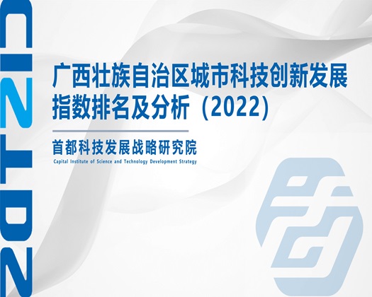 我要看男人操逼插女的逼【成果发布】广西壮族自治区城市科技创新发展指数排名及分析（2022）